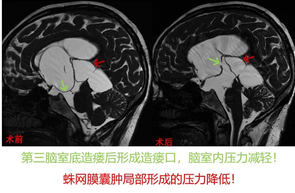 香港宝典免资料大全